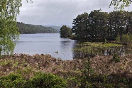 Scenic view of Loch Eileinの写真素材