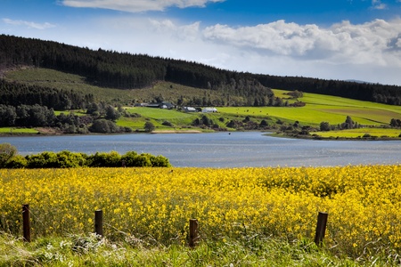 Arable farming field near Munlochy Bayの写真素材