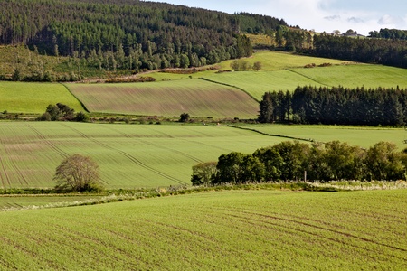 Arable landscape near Drumderfitの写真素材