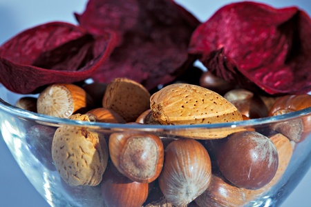 Christmas nuts