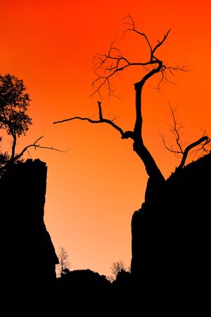 Zion canyon sunsetの写真素材
