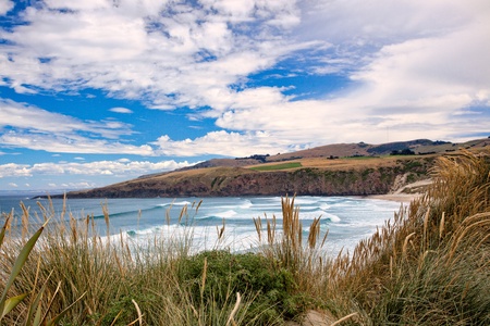 Sandfly Bayの写真素材