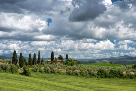 Farmland in Val d Orciaの写真素材