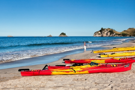 Admiring the view at Hahei beachのeditorial素材