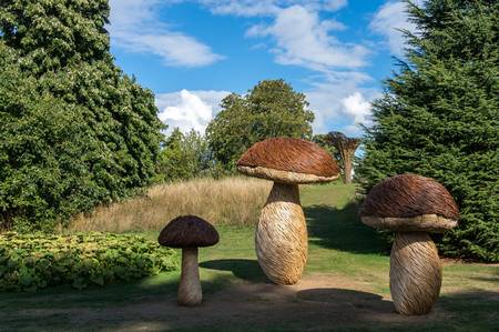 Tom Hareのeditorial素材