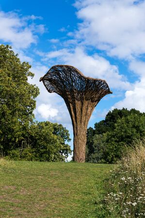 Tom Hareのeditorial素材