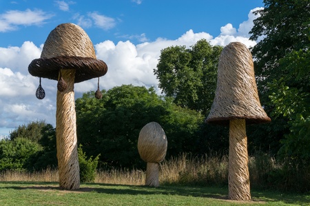 Tom Hareのeditorial素材