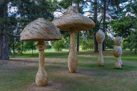 Tom Hareのeditorial素材