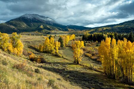 Autumn Colours in Wyomingの写真素材