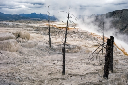 Mammoth Hot Springsの写真素材