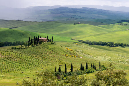 Farmland below Pienza in Tuscanyのeditorial素材