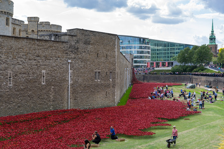 Poppies at the Tower of Londonのeditorial素材