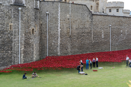 Poppies at the Tower of Londonのeditorial素材