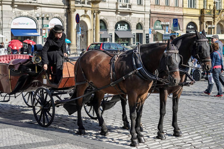 Horse and carriage in the Old Town Square in Pragueのeditorial素材