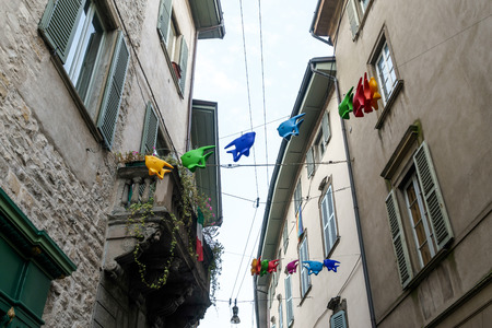 Flying fish across a street in Citta Alta Bergamoの写真素材