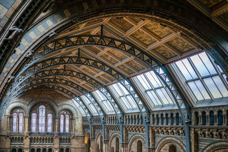 Ceiling detail of the Natural History Museum in Londonのeditorial素材