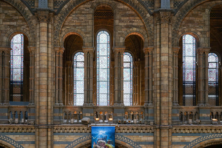 Interior view of the Natural History Museum in Londonのeditorial素材