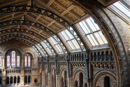 Ceiling detail of the Natural History Museum in Londonのeditorial素材
