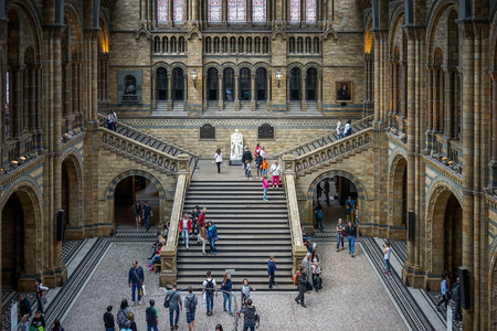 People exploring  the National History Museum in Londonのeditorial素材