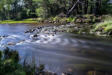 Loch Morlich near Aviemoreの写真素材