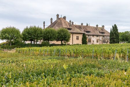 Chateau de Ripaille at Thonon-les-Bains in Franceのeditorial素材