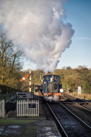 Bluebell Steam Train at Sheffield Park Stationのeditorial素材