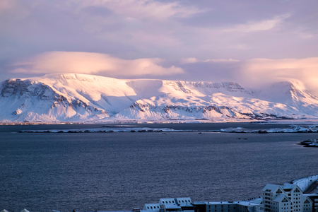 View over Reykjavik from Hallgrimskirkja Churchの写真素材