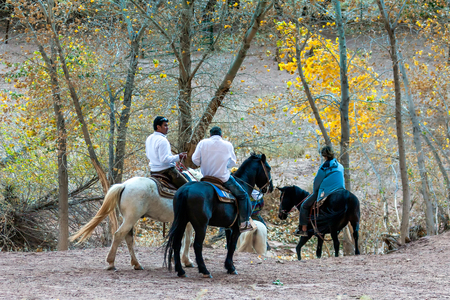 Riding in Canyon de Chelly Arizonaのeditorial素材