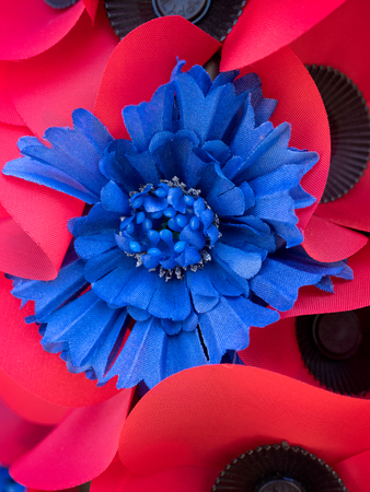 Special Poppy to Commemorate the Centenary of the Battle of the Sommeの写真素材