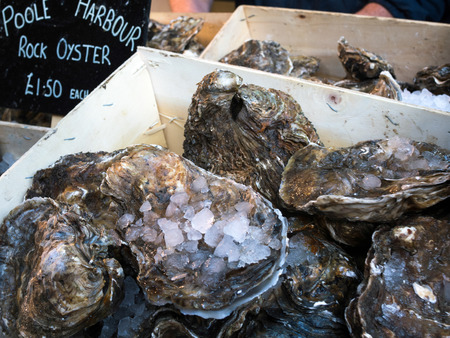 Oysters for Sale in Borough Marketの写真素材