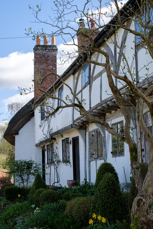 View of a Thatched cottage in Micheldever Hampshireの写真素材