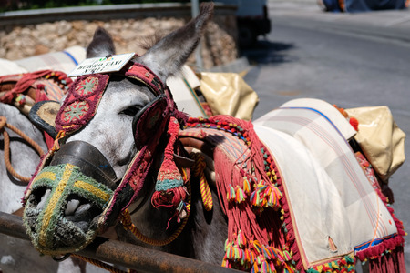 MIJAS, ANDALUCIA/SPAIN - JULY 3 : Donkey Taxi in Mijas AndalucÃ­a Spain on July 3, 2017のeditorial素材