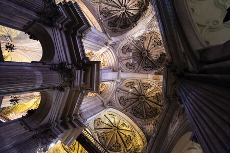 MALAGA, ANDALUCIA/SPAIN - JULY 5 : Interior View of the Cathedral of the Incarnation in Malaga Costa del Sol Spain on July 5, 2017のeditorial素材