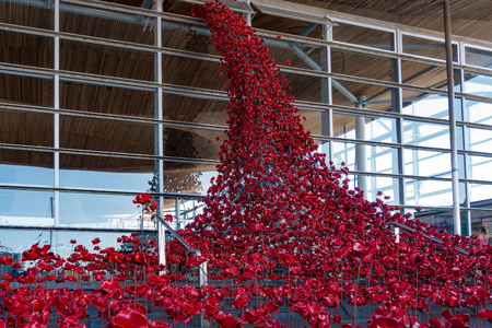 CARDIFF/UK - AUGUST 27 : Poppies Pouring out of the Welsh Assembly Building in Cardiff on August 27, 2017のeditorial素材