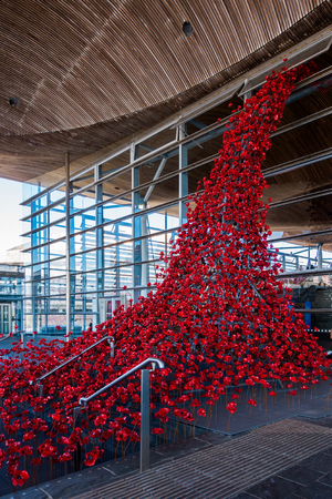 CARDIFF/UK - AUGUST 27 : Poppies Pouring out of the Welsh Assembly Building in Cardiff on August 27, 2017のeditorial素材