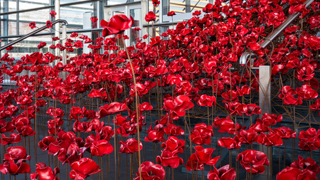 CARDIFF/UK - AUGUST 27 : Poppies Pouring out of the Welsh Assembly Building in Cardiff on August 27, 2017のeditorial素材