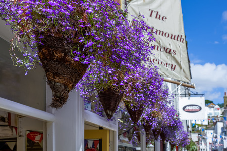DARTMOUTH, DEVON/UK - JULY 28 : Cones of Bllue Trailing Lobelia in Dartmouth Devon on July 28, 2012のeditorial素材