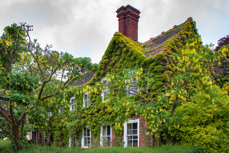 THORPENESS, SUFFOLK/UK - JUNE 1 : House overgrown with Laburnam at Thorpeness in Suffolk on June 1, 2010のeditorial素材