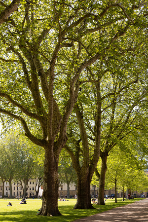 View of Queen's Park in Bristol.  Unidentified people