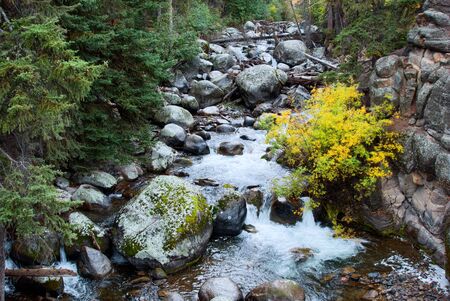 Rapids in Yellowstone