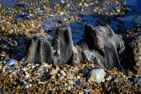 Remains of an old wooden groyne at Eastbourne