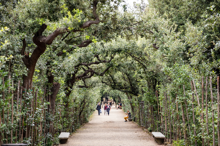 FLORENCE, TUSCANY/ITALY - OCTOBER 20 : A green tree alley in Boboli gardens Florence on October 20, 2019. Unidentified peopleのeditorial素材