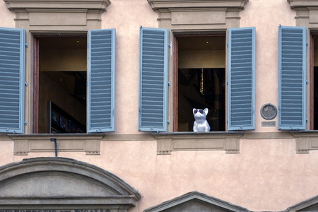FLORENCE, TUSCANY/ITALY - OCTOBER 19 : Bulldog statue in a window of a building in Piazza San Giovanni in Florence on October 19, 2019のeditorial素材