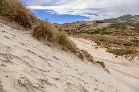 Sand dunes at Sandfly Bay South Island New Zealandの写真素材
