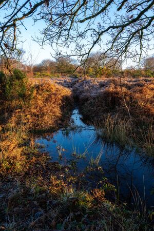 Frosty sunny day at Chailey Nature reserve in East Sussex
