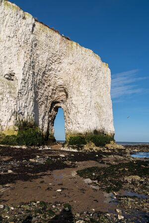 View of chalk cliffs at Botany Bay near Broadstairs in Kent