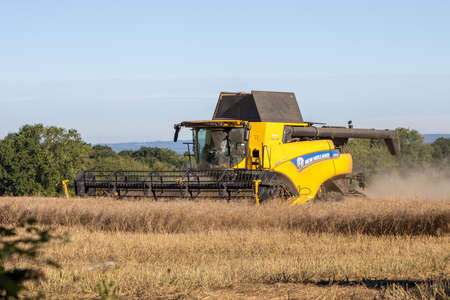 EAST GRINSTEAD, WEST SUSSEX/UK - JULY 30 : Harvesting rape seed on a farm near East Grinstead West...