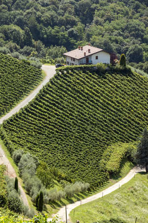 TORRE DE ROVERI, LOMBARDY/ITALY - AUGUST 13 : View of the countryside at Torre de' Roveri, Lombardy, Italy on August 13, 2020のeditorial素材