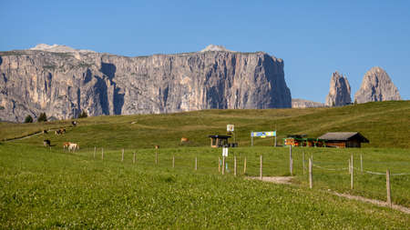 FIE ALLO SCILIAR, SOUTH TYROL/ITALY - AUGUST 8 : View of the countryside by the Sciliar mountain range, Dolomites, South Tyrol, Italy on August 8, 2020のeditorial素材