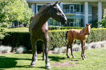 VANCOUVER, BRITISH COLUMBIA, CANADA - AUGUST 14 : Horse statues between buildings in Coal Harbour...